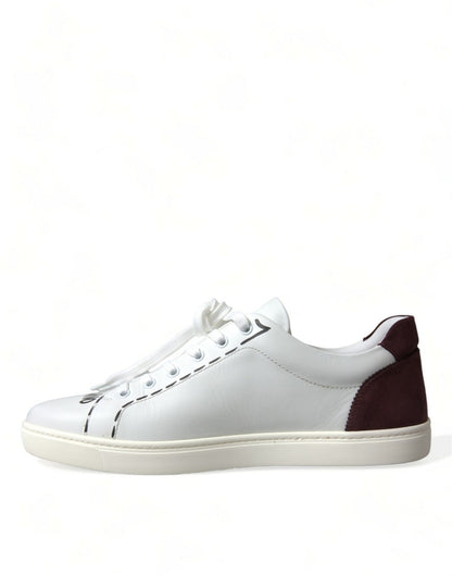 Dolce & Gabbana White Bordeaux Leather Logo Low Top Sneakers Shoes - Le schmidt